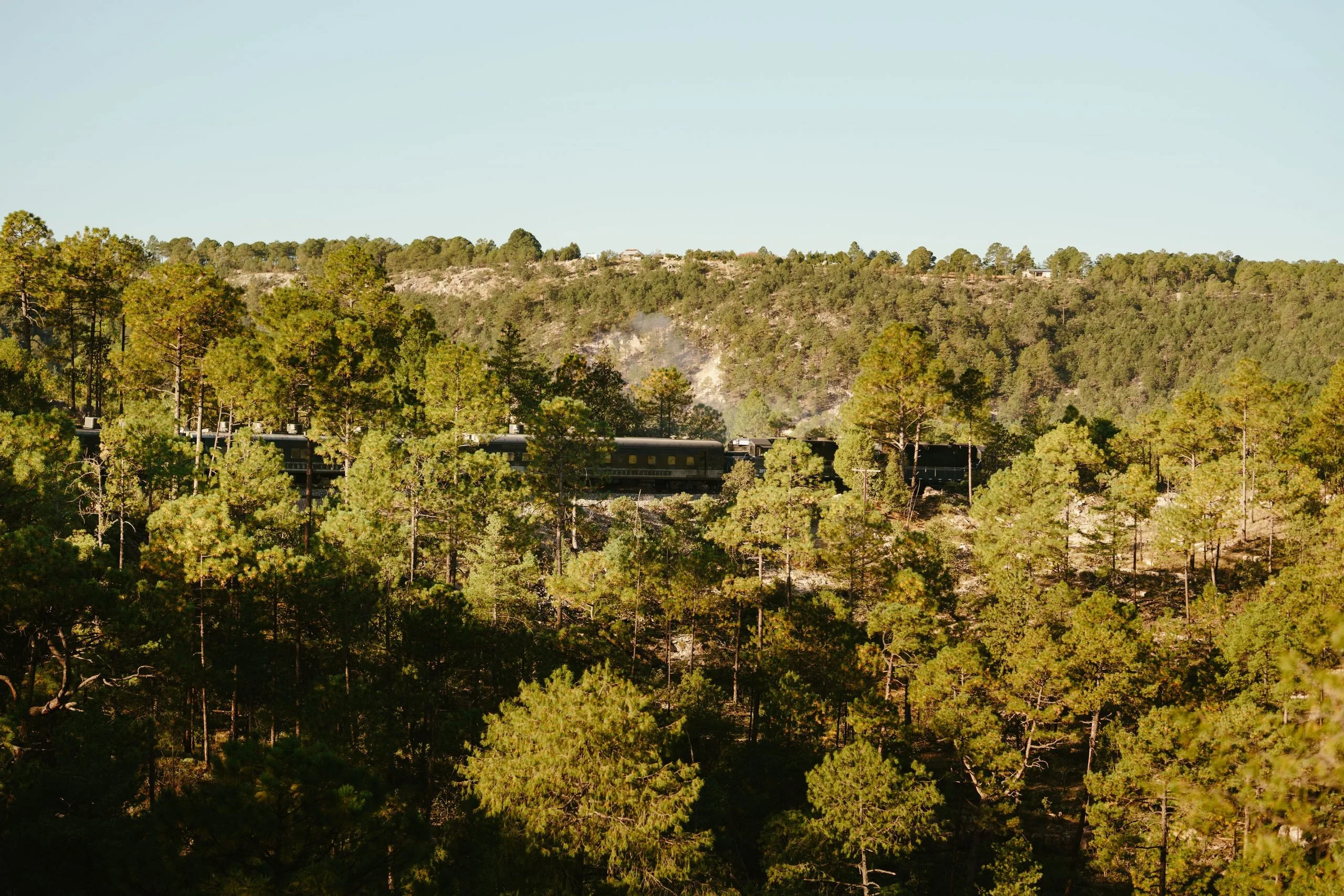 Tren Chepe Express atravesando los bosques de Chihuahua en la Sierra Tarahumara