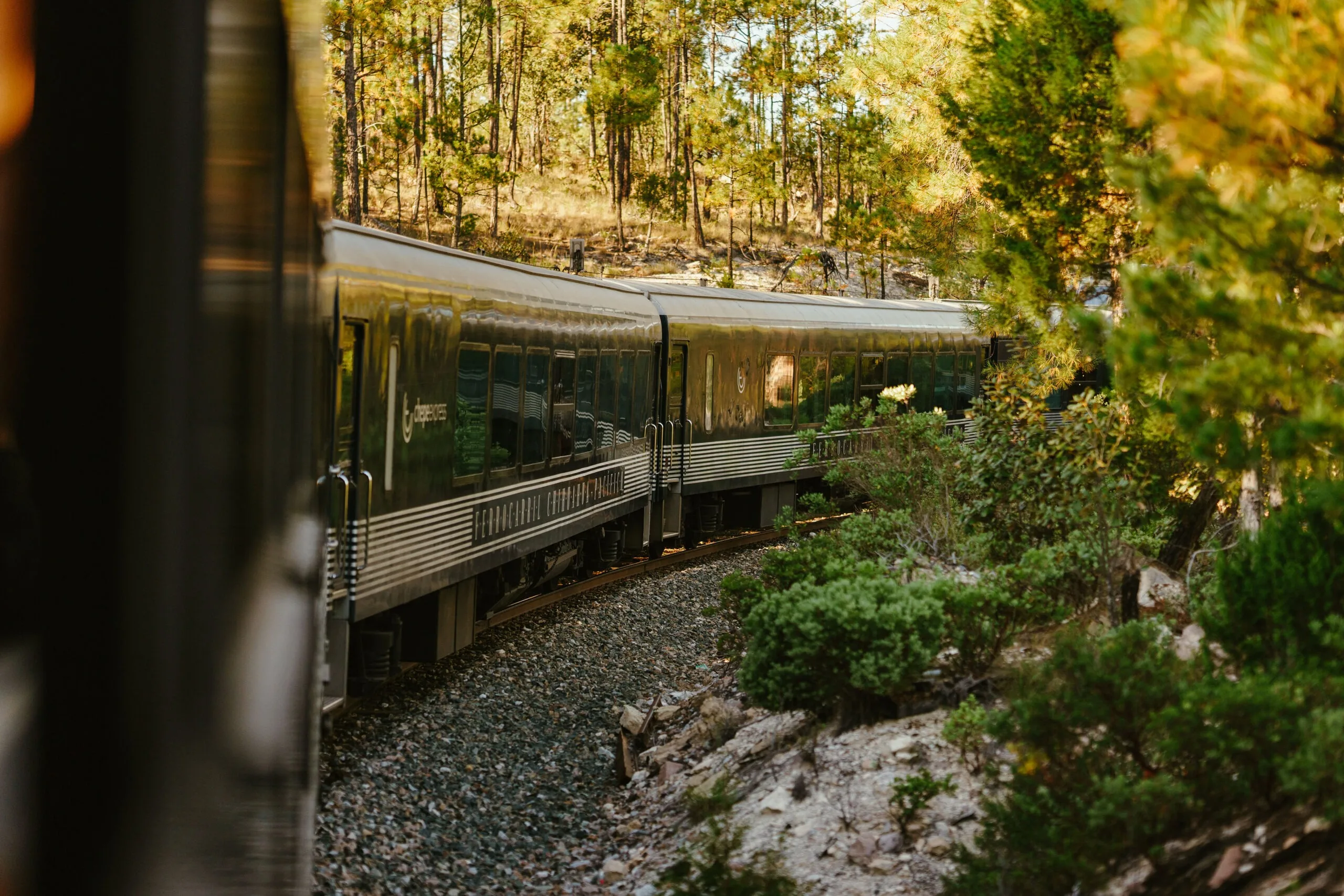 Tren Chepe Express recorriendo la Sierra Tarahumara entre bosques de Chihuahua