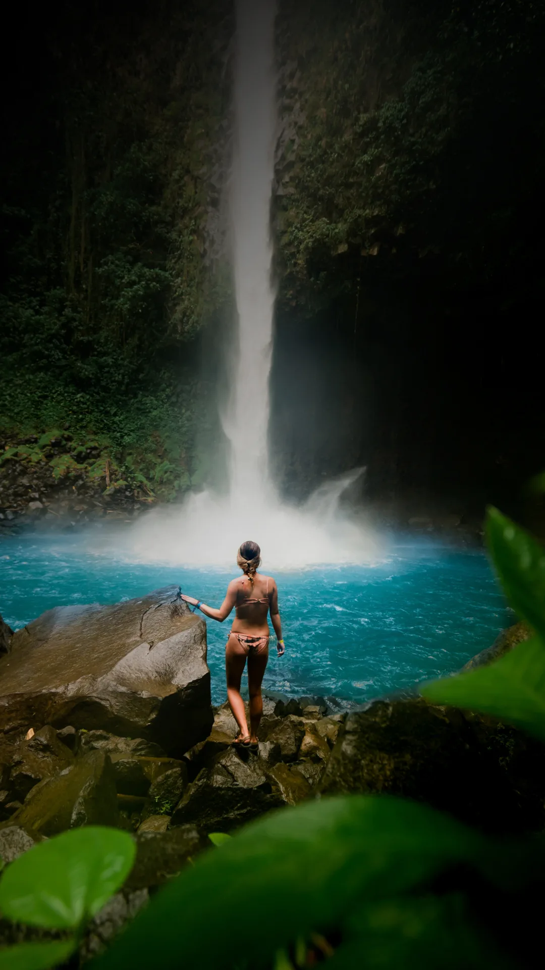 Experiencia de naturaleza en Costa Rica con cascada tropical, selva y fauna en Costa Rica