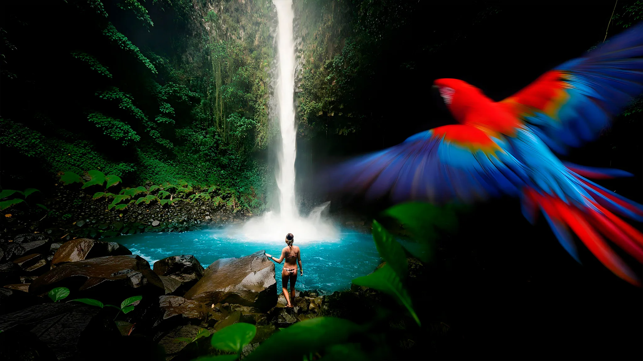 Experiencia de naturaleza en Costa Rica con cascada tropical, selva y fauna en Costa Rica