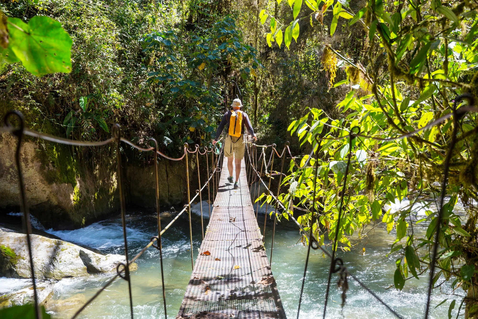 Puente colgante entre la selva tropical de Costa Rica